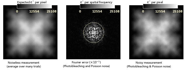 Photobleaching noise is not spectrally white